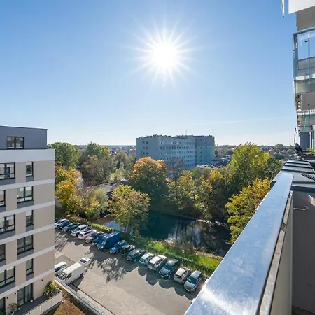 Platany, Sun & Snow *